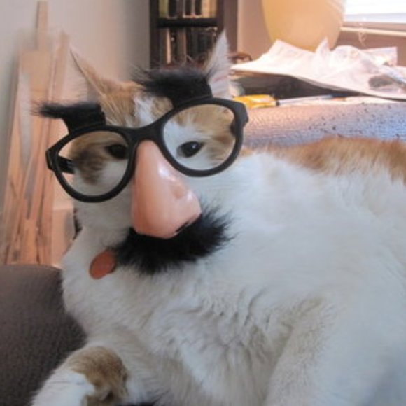 Meet your Posher, Lisa - Picture 1 of 1